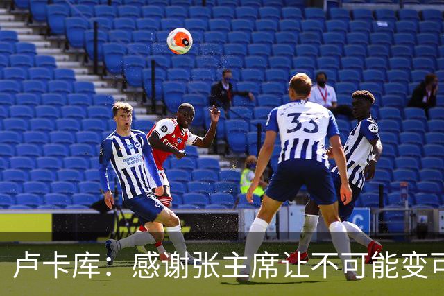 卢卡库：感谢张主席让不可能变可能 会全力帮国米