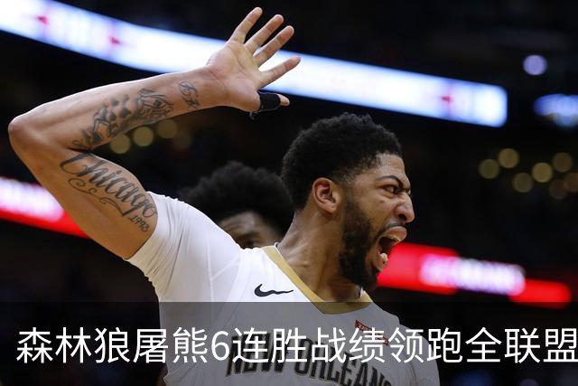 森林狼屠熊6连胜战绩领跑全联盟 骑士力克热火